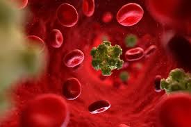 HPV