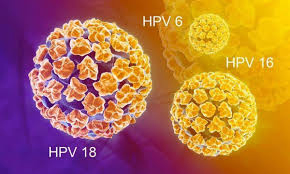 HPV