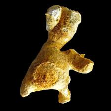 cálculo coraliforme